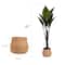 American Art Decor 4ft Artificial Rainbow Taro Tree in Cement Pot Faux Plant